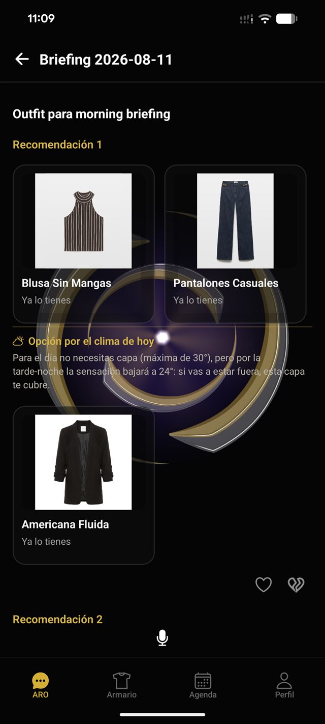 Écran ARO affichant des tenues enregistrées dans une grille éditoriale.